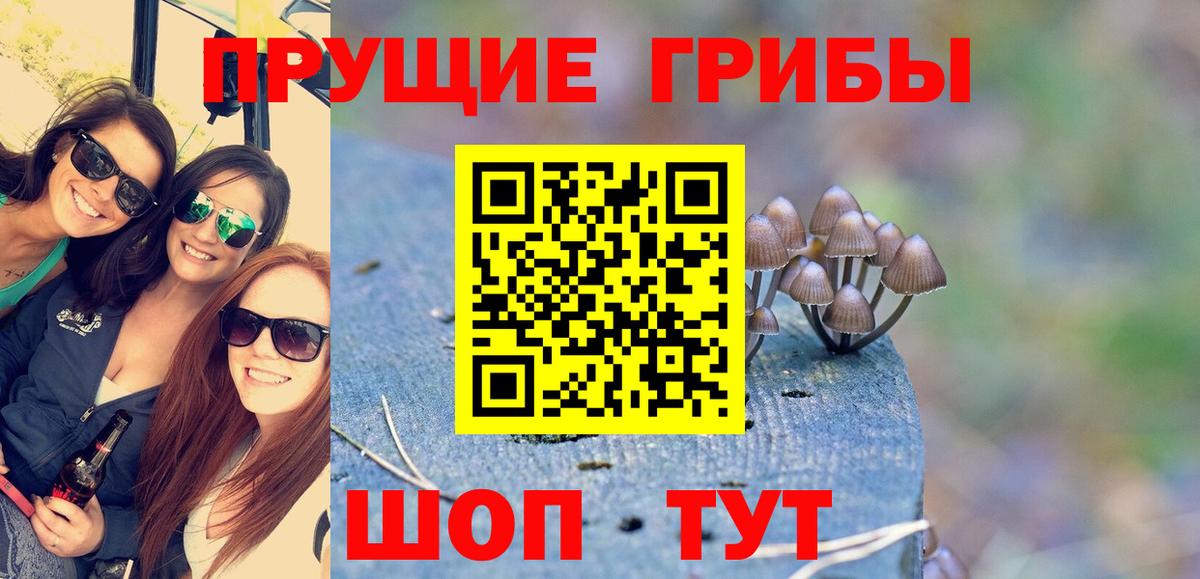 Псилоцибиновые грибы ЛСД  Вход с VPN  Хабаровск 