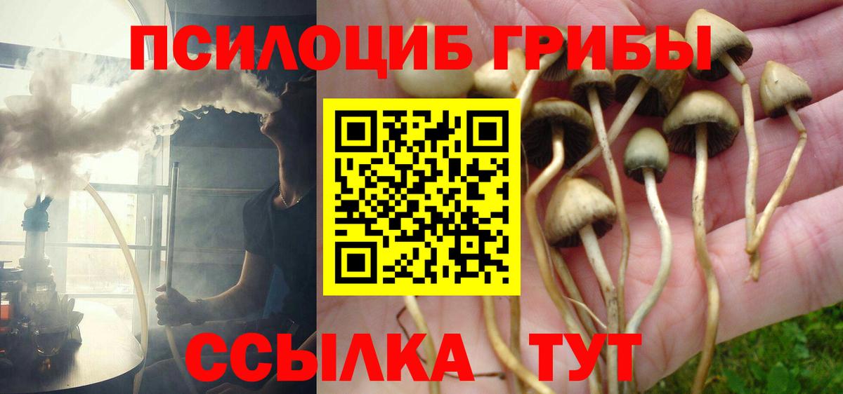 Псилоцибиновые грибы MAGIC MUSHROOMS Хабаровск